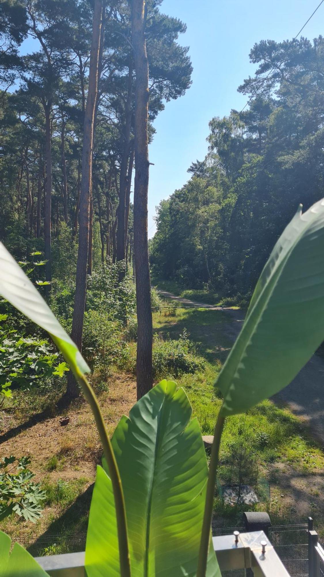 Czarna Perla Apartment Dziwnowek Bagian luar foto