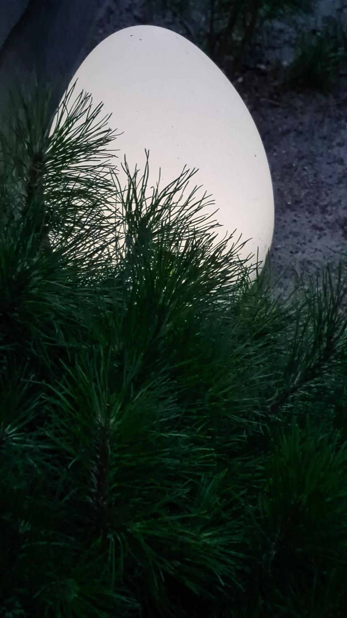 Czarna Perla Apartment Dziwnowek Bagian luar foto